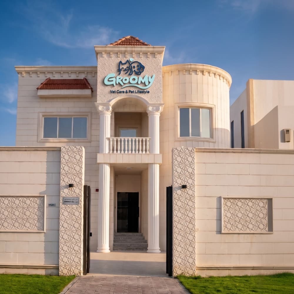The Groomy villa in Abu Dhabi