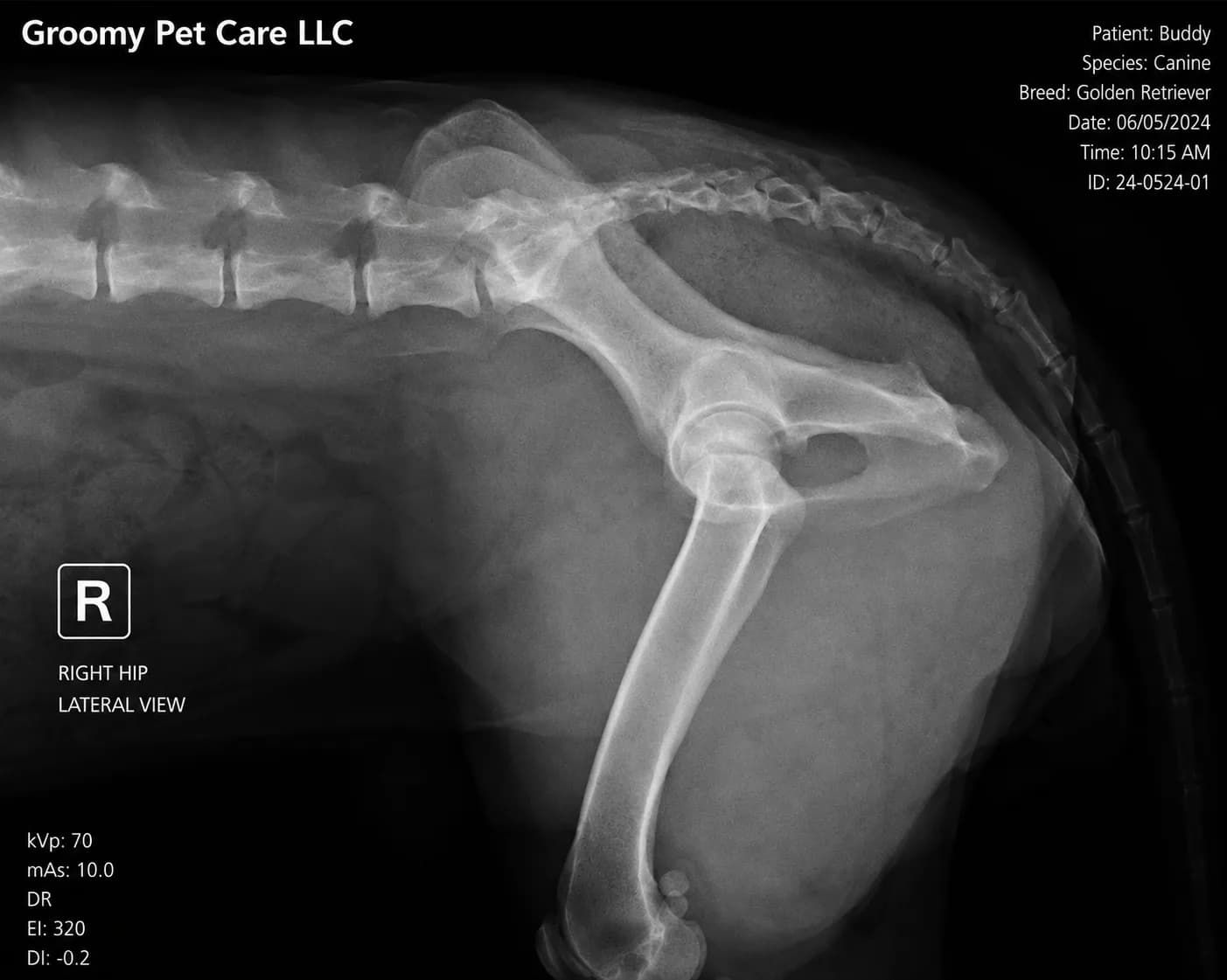 X-Ray & Ultrasound Imaging
