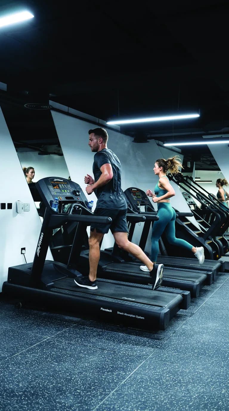 Pet & Human Gym