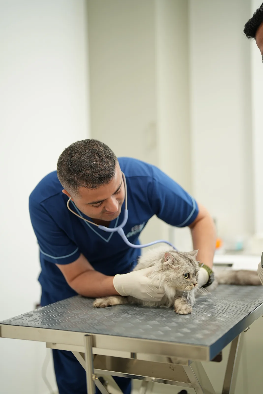 Veterinary Services